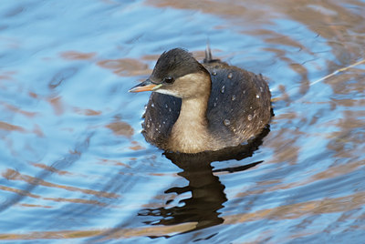 BUITEN BEELD Foto: 32654