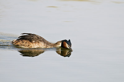 BUITEN BEELD Foto: 32682