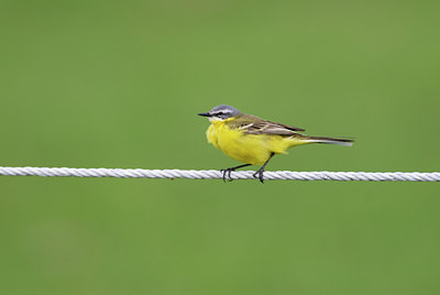 BUITEN BEELD Foto: 32696