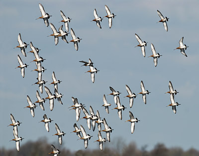 BUITEN BEELD Foto: 32756