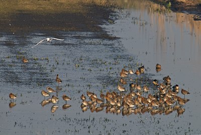 BUITEN BEELD Foto: 32789
