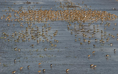 BUITEN BEELD Foto: 32790
