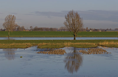 BUITEN BEELD Foto: 32792