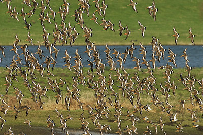 BUITEN BEELD Foto: 32800