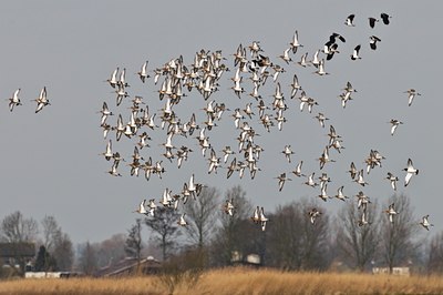BUITEN BEELD Foto: 32822
