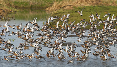 BUITEN BEELD Foto: 32834