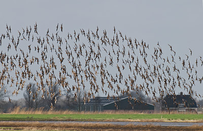 BUITEN BEELD Foto: 32845