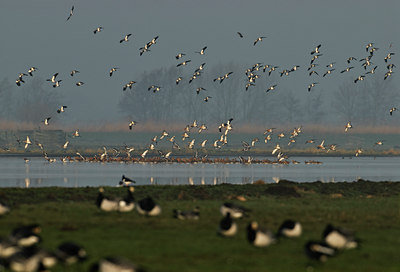 BUITEN BEELD Foto: 32870