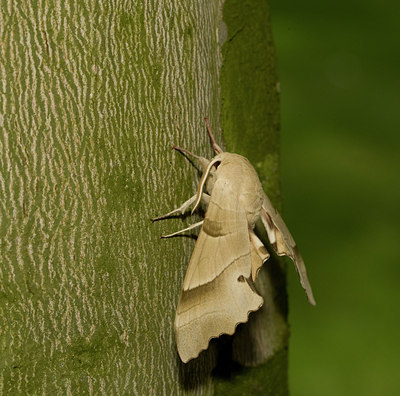 BUITEN BEELD Foto: 32918