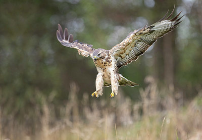 BUITEN BEELD Foto: 329035