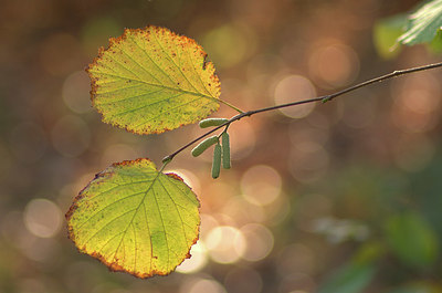 BUITEN BEELD Foto: 329057