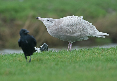 BUITEN BEELD Foto: 329142