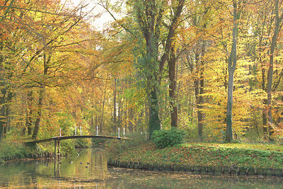 BUITEN BEELD Foto: 329173