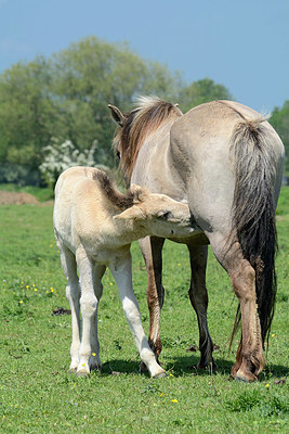 BUITEN BEELD Foto: 329180