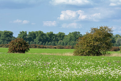 BUITEN BEELD Foto: 329204