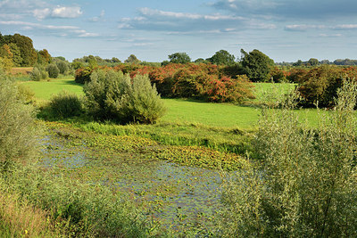 BUITEN BEELD Foto: 329205