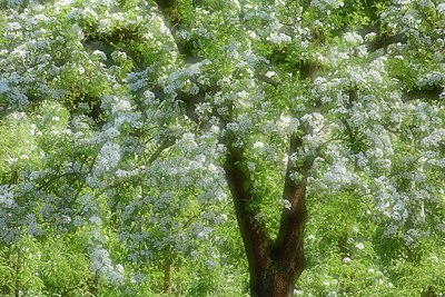 BUITEN BEELD Foto: 329236