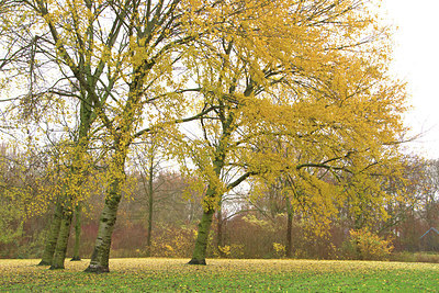 BUITEN BEELD Foto: 329324