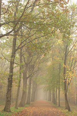 BUITEN BEELD Foto: 329325