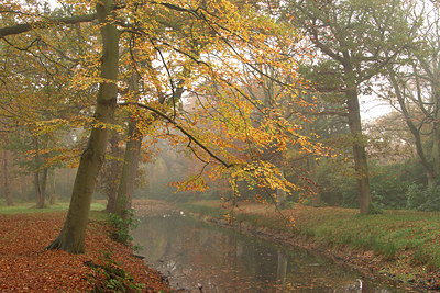 BUITEN BEELD Foto: 329337