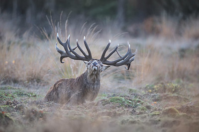 BUITEN BEELD Foto: 329433