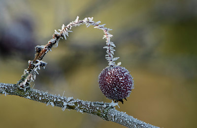 BUITEN BEELD Foto: 329527