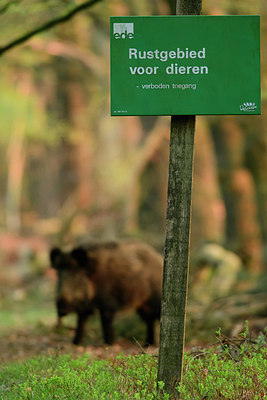 BUITEN BEELD Foto: 329544