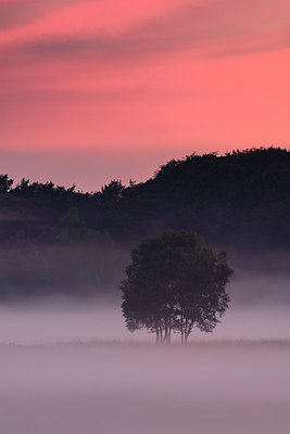 BUITEN BEELD Foto: 329637