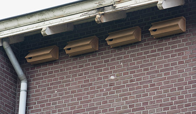 BUITEN BEELD Foto: 329672