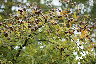 BUITEN BEELD Foto: 329698
