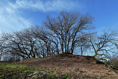 BUITEN BEELD Foto: 329711