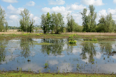BUITEN BEELD Foto: 329721