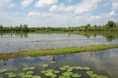 BUITEN BEELD Foto: 329727