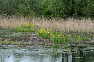 BUITEN BEELD Foto: 329728