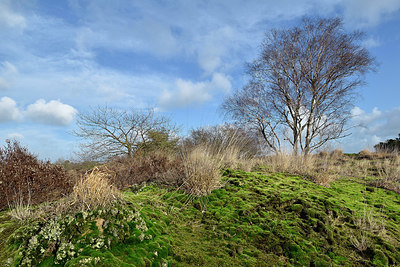 BUITEN BEELD Foto: 329770