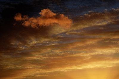 BUITEN BEELD Foto: 329785