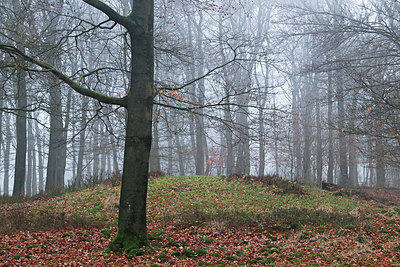 BUITEN BEELD Foto: 329790