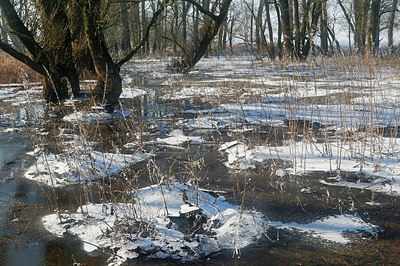 BUITEN BEELD Foto: 329805