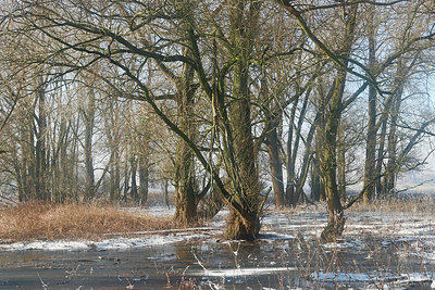 BUITEN BEELD Foto: 329806