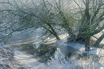 BUITEN BEELD Foto: 329807