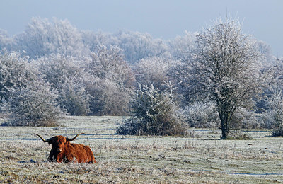 BUITEN BEELD Foto: 329813