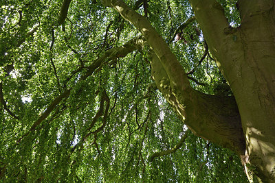BUITEN BEELD Foto: 329899