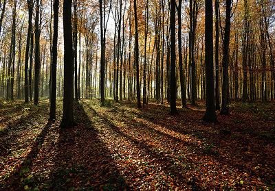 BUITEN BEELD Foto: 329915