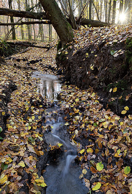 BUITEN BEELD Foto: 329918