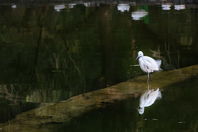 BUITEN BEELD Foto: 329966