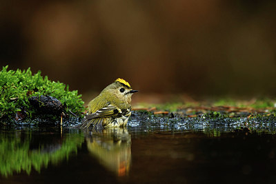 BUITEN BEELD Foto: 330081