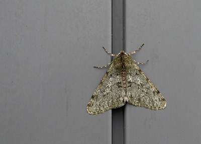 BUITEN BEELD Foto: 330084