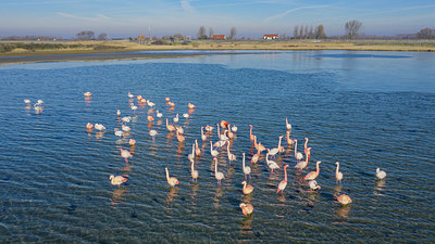 BUITEN BEELD Foto: 330114