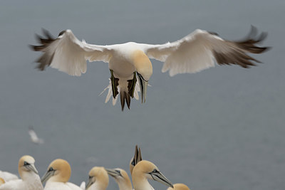 BUITEN BEELD Foto: 330144