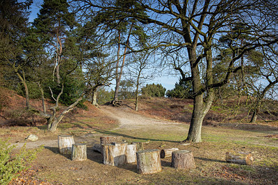 BUITEN BEELD Foto: 330190